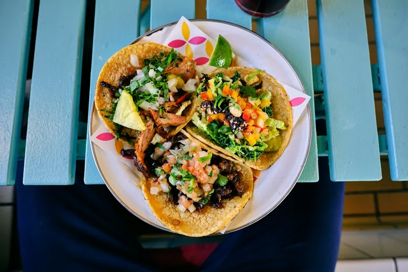 Shredded salsa verde chicken for tacos