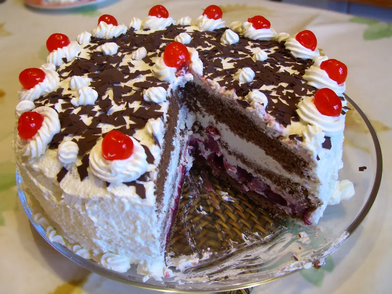 Sliced round Black Forest cake with chocolate sponge, cherry filling, white whipped cream, chocolate shavings and red cherries on top