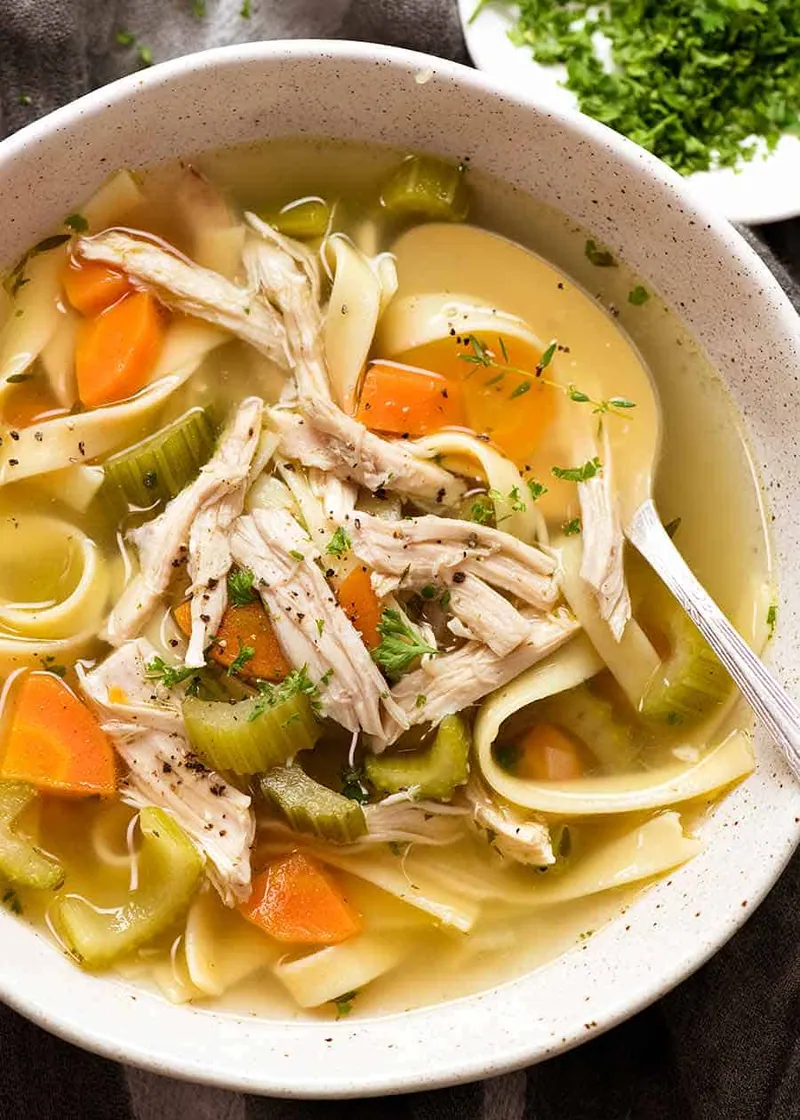 Homestyle chicken noodle soup with broad noodles, carrots, celery and shredded chicken